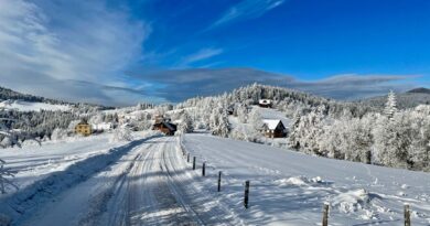 Co to jest backcountry