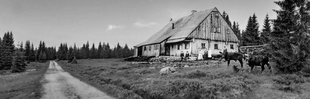 Dawna Michalesbaude na Jeleniej Łące