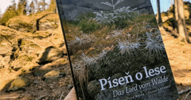 Gustav Leutelt, poeta Gór Izerskich