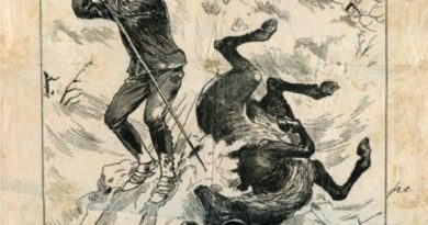 Jeleń upolowany przez narciarza,