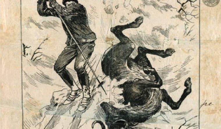 Jeleń upolowany przez narciarza,