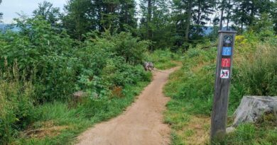 Bike Park Tanvaldski Spicak