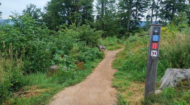 Bike Park Tanvaldski Spicak