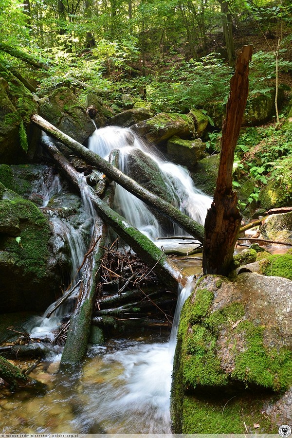Wodospad Piszczka Kowary żr Polska-Org