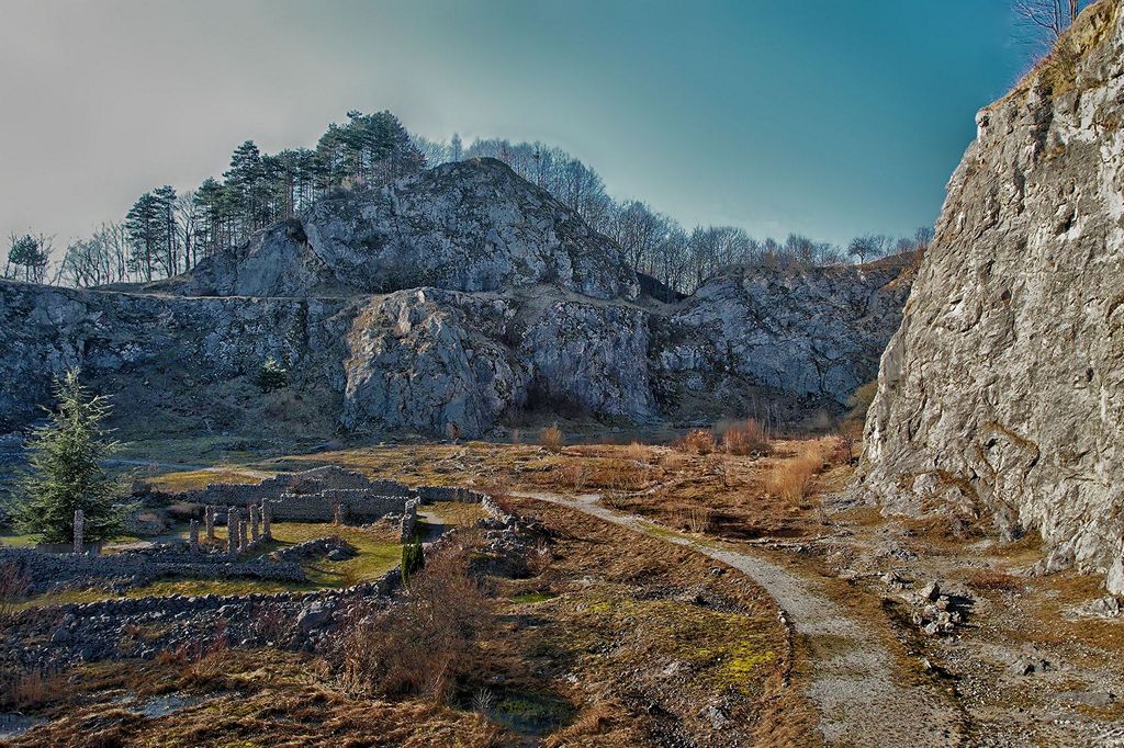 Strasmberk Ogród botaniczny i arboretum