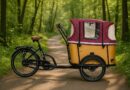 Rower elektryczny cargo Geobike Arkona