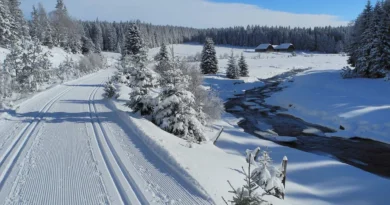 Narty biegowe na Szumawie