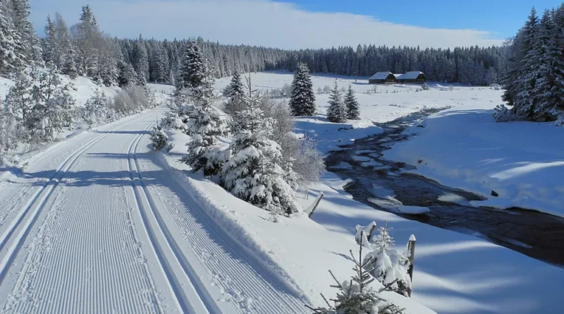 Narty biegowe na Szumawie