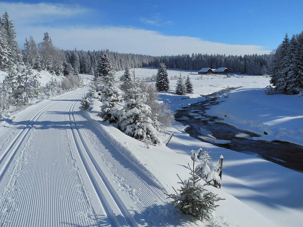 Narty biegowe Szumawa – zimowa magia czeskiego pogranicza
