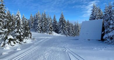 Gdzie na narty biegowe w Czechach? Przewodnik dla narciarzy biegowych