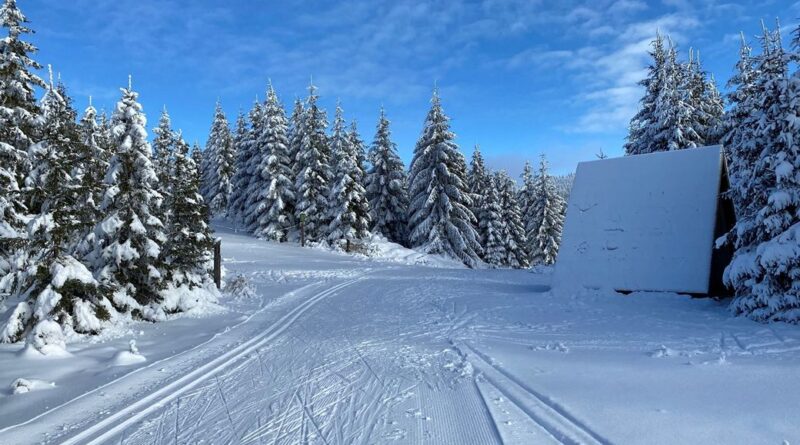 Gdzie na narty biegowe w Czechach? Przewodnik dla narciarzy biegowych