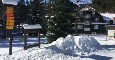 narty-biegowe-gory-orlickie